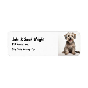 Benutzerdefiniertes Lhasa Apso Dog-Adressetikett