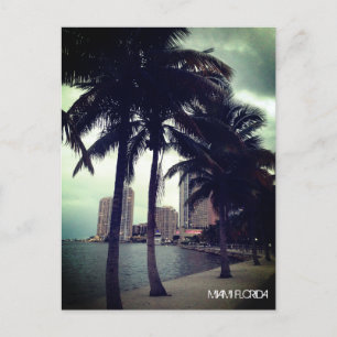 Benutzerdefiniertes Miami Florida Downtown und Haf Postkarte