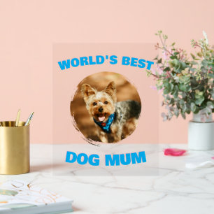 Benutzerdefiniertes Minimales Bestes Hund Katze Ma Acrylschild