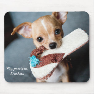 Benutzerdefiniertes Niedliches Chihuahua Mouse Pad Mousepad