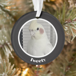 Benutzerdefiniertes Nymphensittich-Fotogedenkstück Ornament