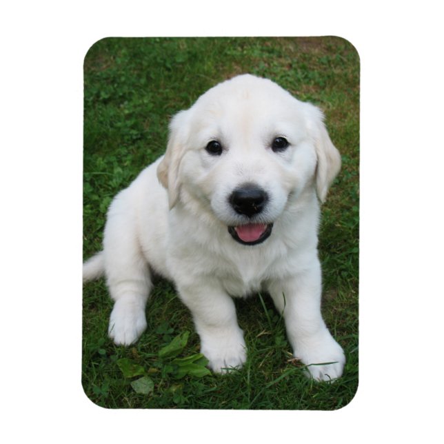 Benutzerdefiniertes Personalisiertes Foto I Beglei Magnet (Vertikal)