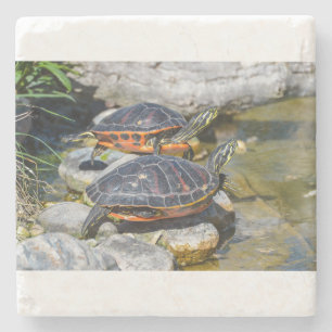 Benutzerdefiniertes Süße Tier-Ziel des Schildkröte Steinuntersetzer