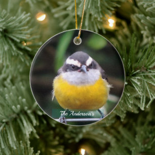 Benutzerdefiniertes süßes gelbes Brustvogel-Foto p Keramik Ornament