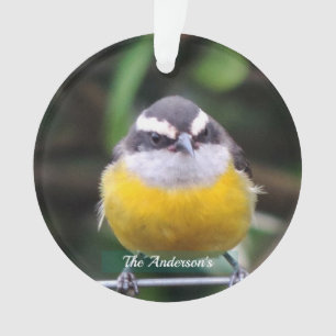 Benutzerdefiniertes süßes gelbes Brustvogel-Foto p Ornament