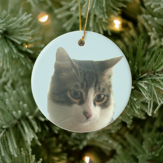Benutzerdefiniertes Tabby-Cat-Foto für Light Blue Keramik Ornament (Baum)