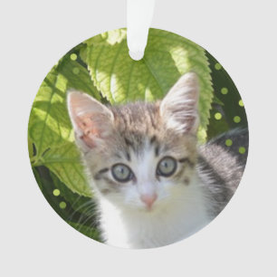 Benutzerdefiniertes Tabby-Kätzchen-Foto Ornament