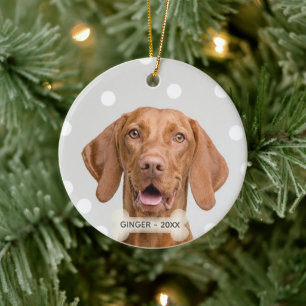 Benutzerdefiniertes Vizsla-Hundefoto Keramik Ornament