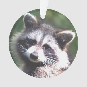 Benutzerdefiniertes Waschbär-Foto Ornament