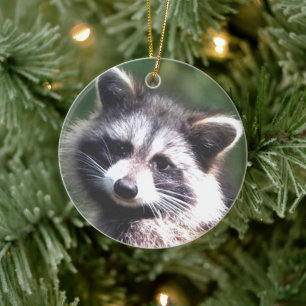 Benutzerdefiniertes Waschbären-Foto Keramik Ornament