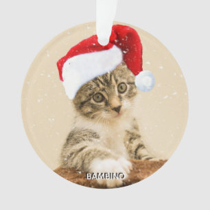 Benutzerdefiniertes Weihnachtslied Katzenfoto pers Ornament