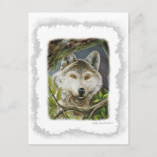 Beobachtende Augen Postkarte