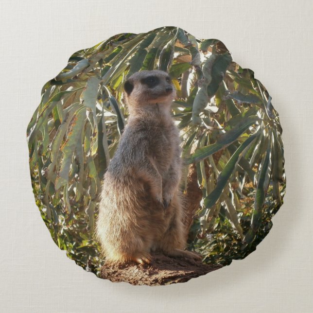 Beobachtender Sentinel: Meerkat im grünen Hintergr Rundes Kissen (Rückseite)