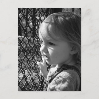 Beobachtung Postkarte