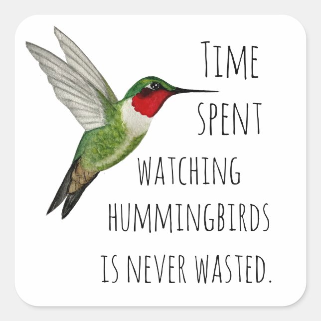 Beobachtung von Hummingvögeln Quadratischer Aufkleber (Vorderseite)