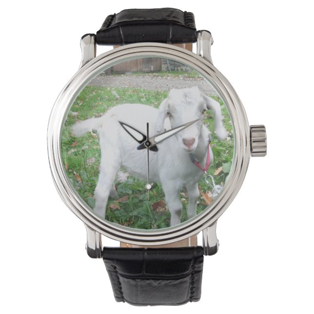 Beobachtung von weißen Ziegen Armbanduhr (Vorderseite)