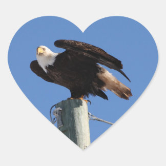 BEOUP Bald Adler auf dem Versorgungsloch Herz-Aufkleber