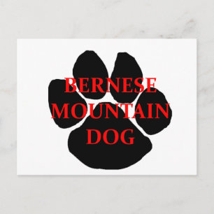 ber mt dog name pfote.png postkarte