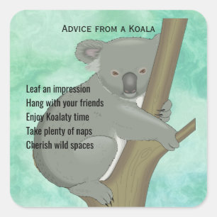 Beratung durch einen Koala Design Sticker