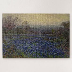 Bereich Bluebonnet-Blume (Landschaft des ländliche