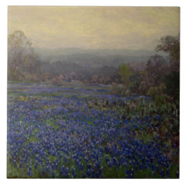 Bereich Bluebonnet-Blume (Landschaft des ländliche Fliese
