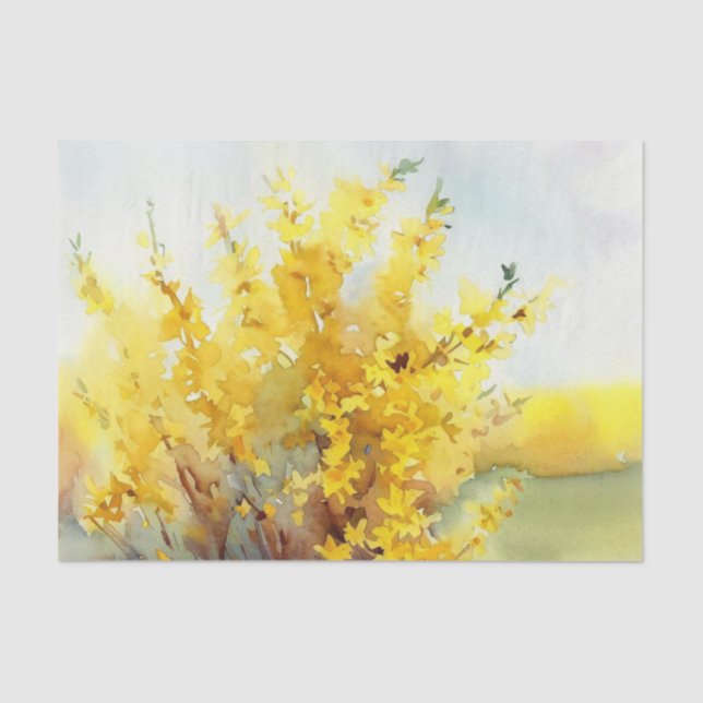 Bereich Blume-Forsythia (C) Wasserfarbe Seidenpapier (Vorderseite)