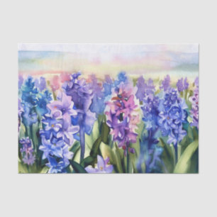 Bereich Blume-Hyazinth (A) Wasserfarbe Seidenpapier