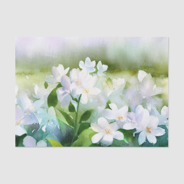 Bereich Blume-Jasmine (D) Wasserfarbe Seidenpapier (Vorderseite)