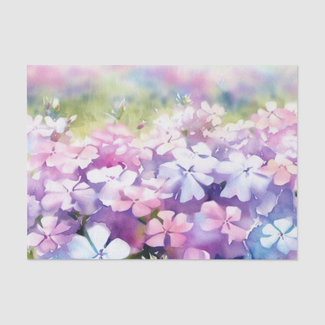 Bereich Blume-Phlox (D) Wasserfarbe Seidenpapier (Vorderseite)
