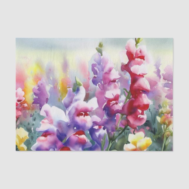 Bereich Blume-Snapdragon (D) Wasserfarbe Seidenpapier (Vorderseite)