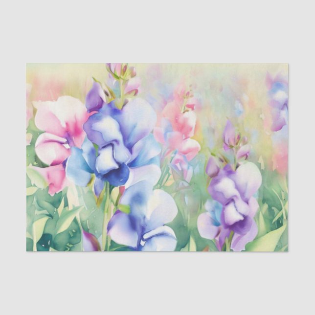 Bereich Blume-Süßer Erbsen (B) Aquarell Seidenpapier (Vorderseite)