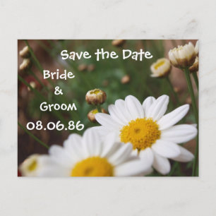 Bereich Daisies Save the Date Ankündigungspostkarte