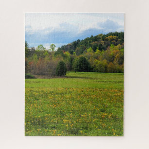 Bereich der Blume