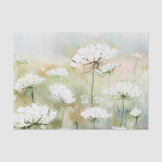 Bereich der Blume - Königin Anne's Lace (B) Wasser Seidenpapier (Vorderseite)