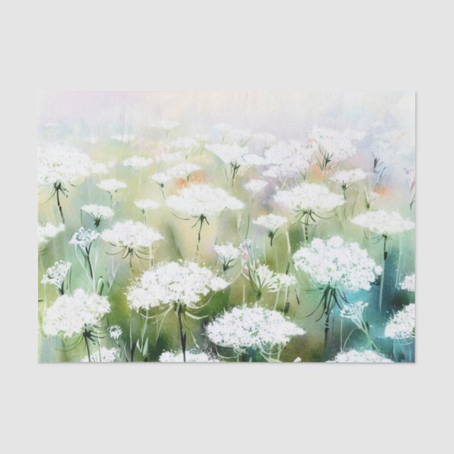 Bereich der Blume - Königin Anne's Lace (C) Wasser Seidenpapier (Vorderseite)