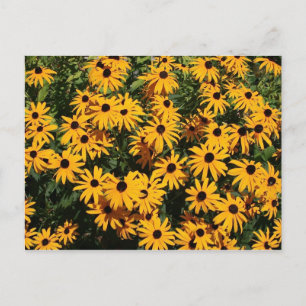 Bereich der Blume Postkarte
