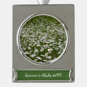 Bereich der Daisies Alaskan-Wildblumen Banner-Ornament Silber
