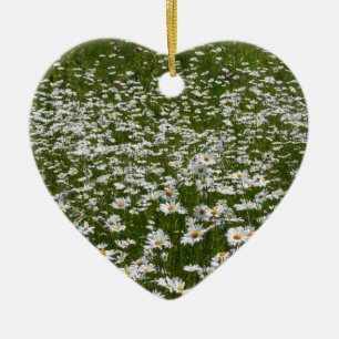 Bereich der Daisies Alaskan-Wildblumen Keramik Ornament