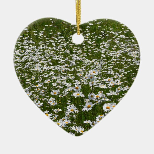 Bereich der Daisies Alaskan-Wildblumen Keramik Ornament (Vorne)
