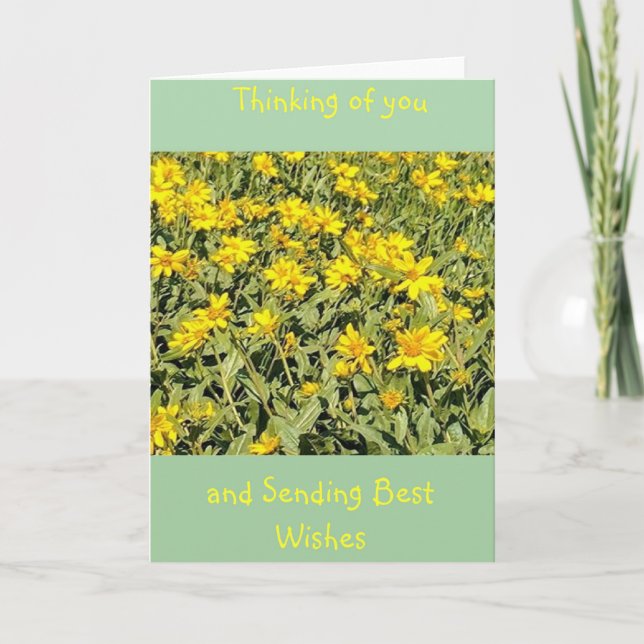 Bereich der Daisies Denken Sie an Sie Karte (Vorderseite)