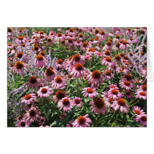 Bereich der Kone-Blume