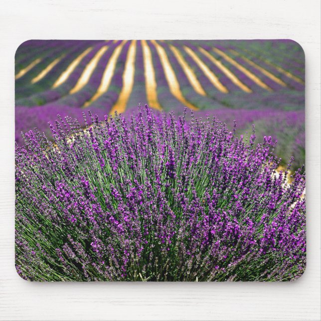 Bereich der lila Lavendel Mousepad (Vorne)