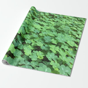 Bereich des Kleeblattverpackungspapiers Geschenkpapier