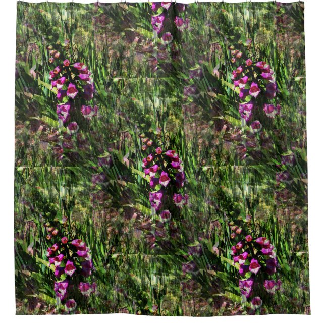 Bereich Foxglove Blume...... Duschvorhang (Vorderseite)