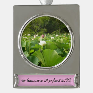 Bereich Lotus Blume Sommergarten Banner-Ornament Silber