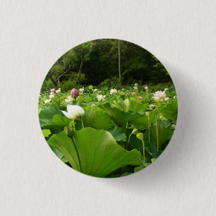 Bereich Lotus Blume Sommergarten Button