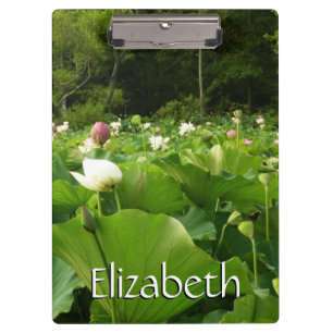 Bereich Lotus Blume Sommergarten Klemmbrett