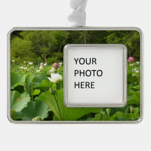 Bereich Lotus Blume Sommergarten Rahmen-Ornament Silber