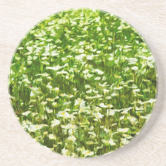 Bereich Oxeye Daisies Abstrakter Impressionismus Sandstein Untersetzer (Vorne)