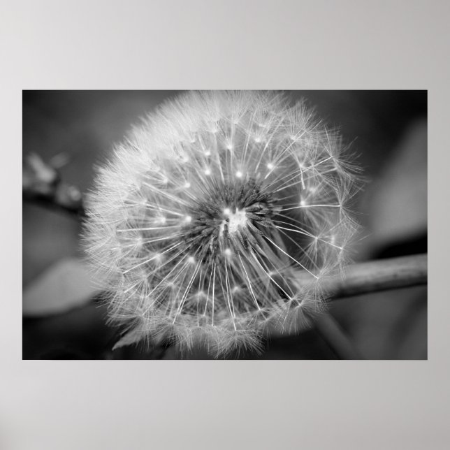 Bereit für den Start!!! Poster (Vorne)